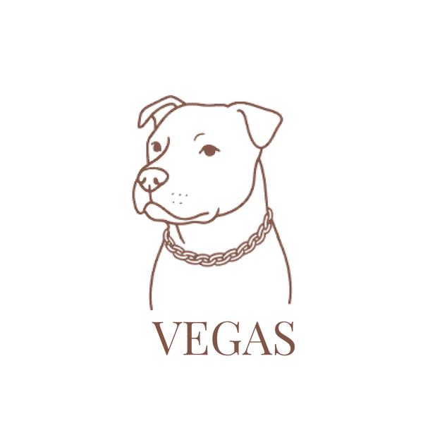 Vegas-store